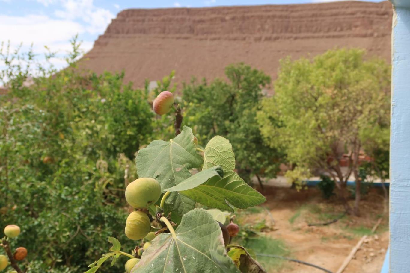 Gite D'Etape Ziz Oasis Achbarou Exterior photo